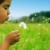 wishing flower